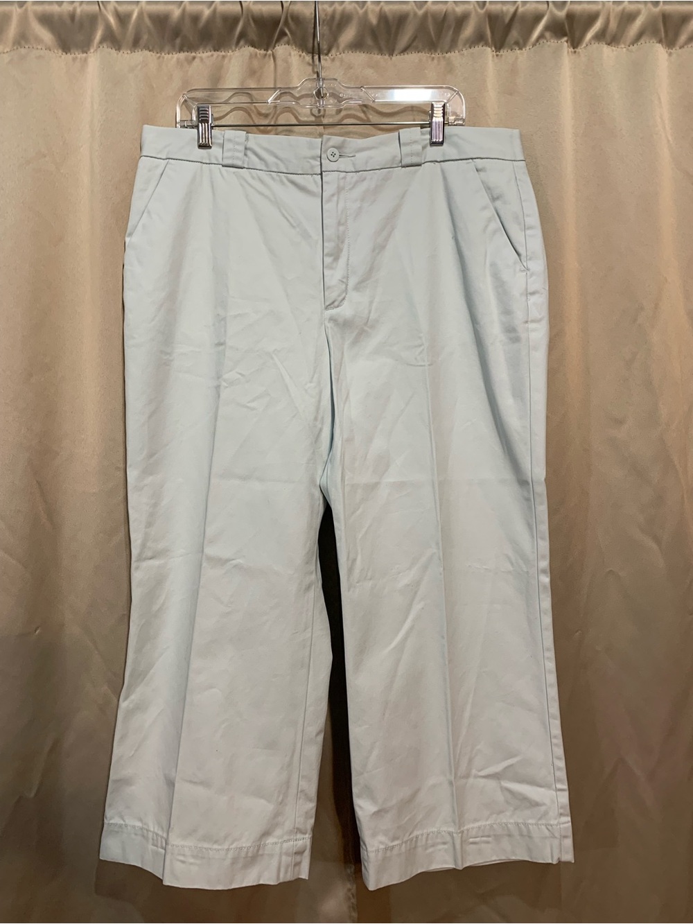 GAP  Women Light Blue Chinos  131/4